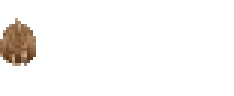 SUPERHORSING emote