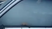 HotboxExtreme emote