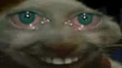 ssd emote