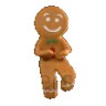 gingerPls emote