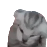 TheVoices emote
