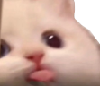 :PPP emote