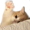 yo emote