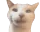 BLEHING