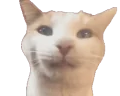 BLEHING emote