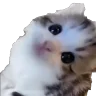 erm emote