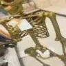 IMDEAD emote