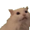 MYAAA emote