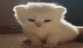 grustno emote