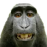 vopyce emote