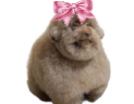 ebuchaya emote
