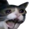 Limon emote