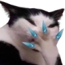 LMAOAOAOA emote