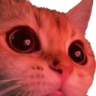 Woah emote