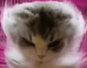 ModeGOD emote