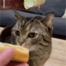 burger emote