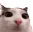 Emote