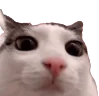 plink emote