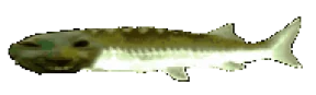 Joeldd emote