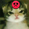 srokaaa_ emote