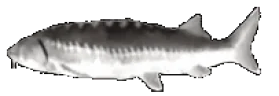 BarrelJoel emote