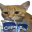 Sipping