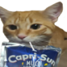 Sipping emote