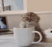 eepy emote