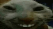 ddxing emote