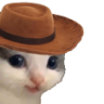 meowdy emote