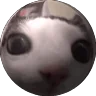 Splink emote