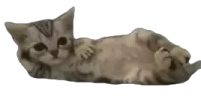 !hide emote