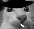 OPPENHEIMER emote