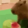 CapyMelon emote
