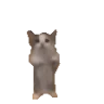 yippie emote