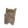 TheDinosaur