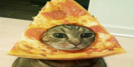 kto emote