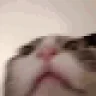 HeCrazy emote