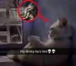 hethinksheshim emote
