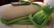 ooogre emote