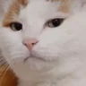 Disappointed emote