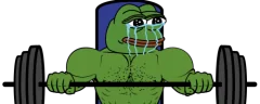 GymStory emote