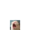aaa emote