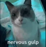 gulp emote