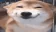 Emote