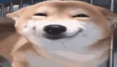 heh emote