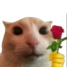 catRose emote