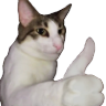 npnp emote