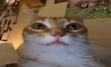 irm emote