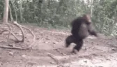 wukong emote